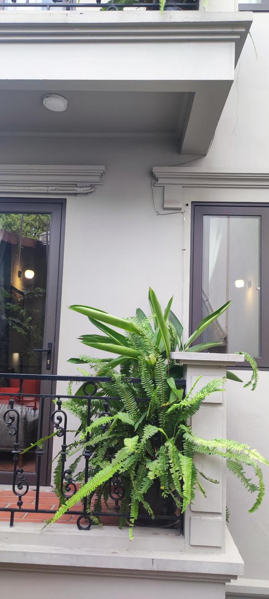 T Home Balcony Homestay Hanoi Exteriör bild