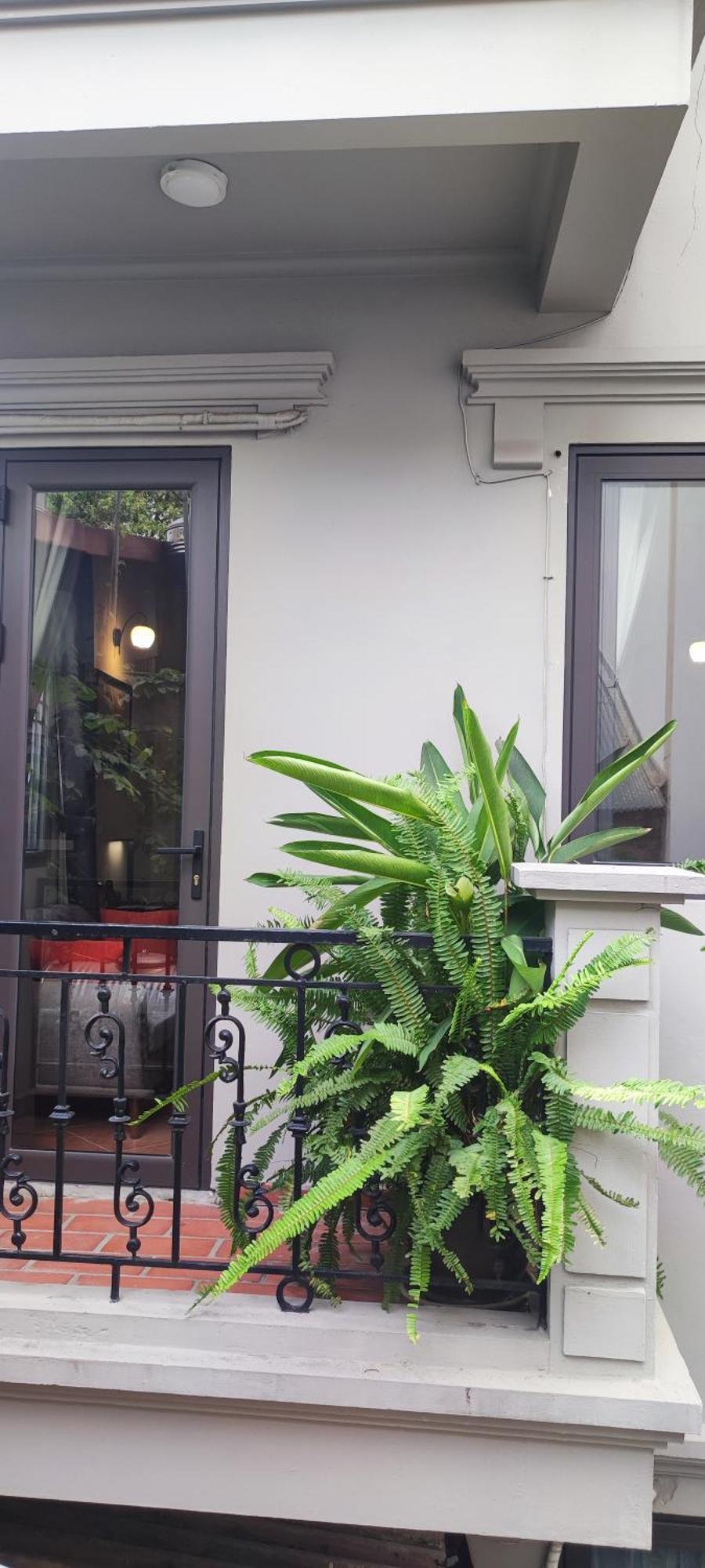 T Home Balcony Homestay Hanoi Exteriör bild